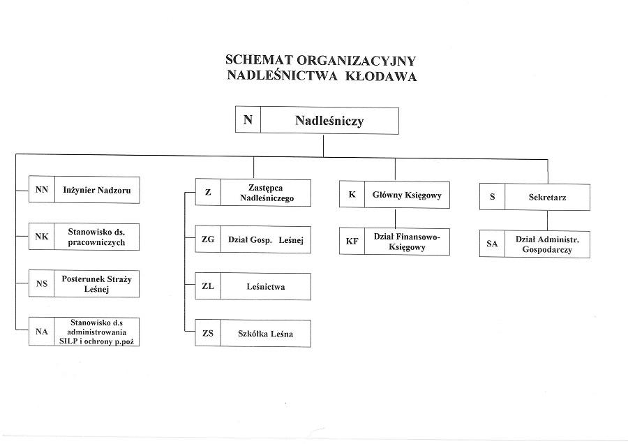 schemat organizacyjny