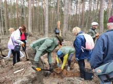 Seniorzy i młodzież z WTZ posadzili las.