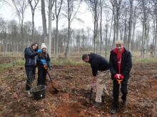 Licealiści z I i III LO w Gorzowie sadzą las