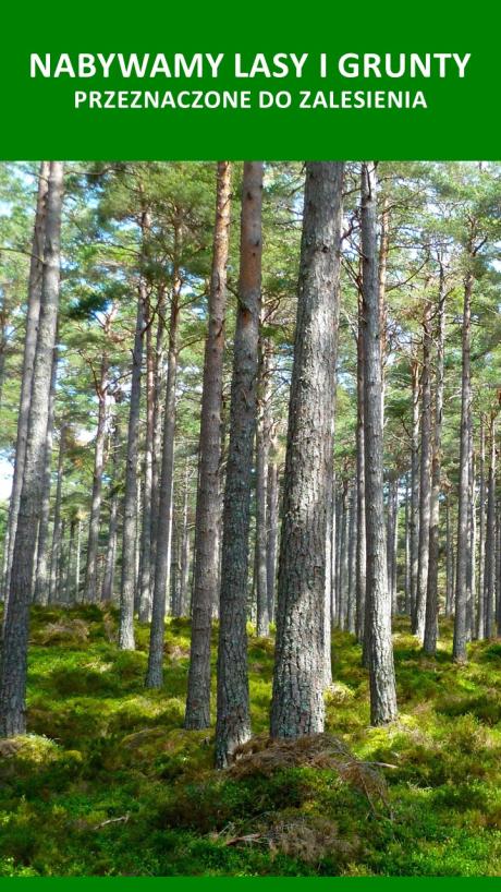 Nabywamy lasy i grunty przeznaczone do zalesienia