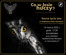 CO W LESIE HUCZY? NOCNE ŻYCIE SÓW W NADLEŚNICTWIE KŁODAWA