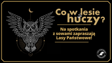 Usłysz, co w lesie huczy